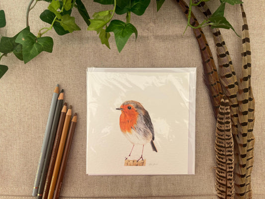 Hand-Drawn Robin Greetings Card: Wildlife Art, Blank Inside