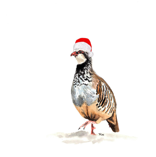 Christmas Partridge Illustration wearing a Santa Hat - Festive/ Blank Card/ Wildlife Card/ Game Bird/ Shooting