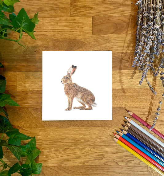 Hare Card/ Hare Greetings Card/ Bunny Card/ Greetings Card/ Blank Inside