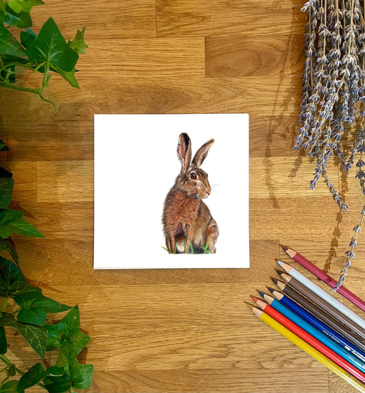 Hare Greeting Card: Hand-Drawn Wildlife Art, Blank Inside