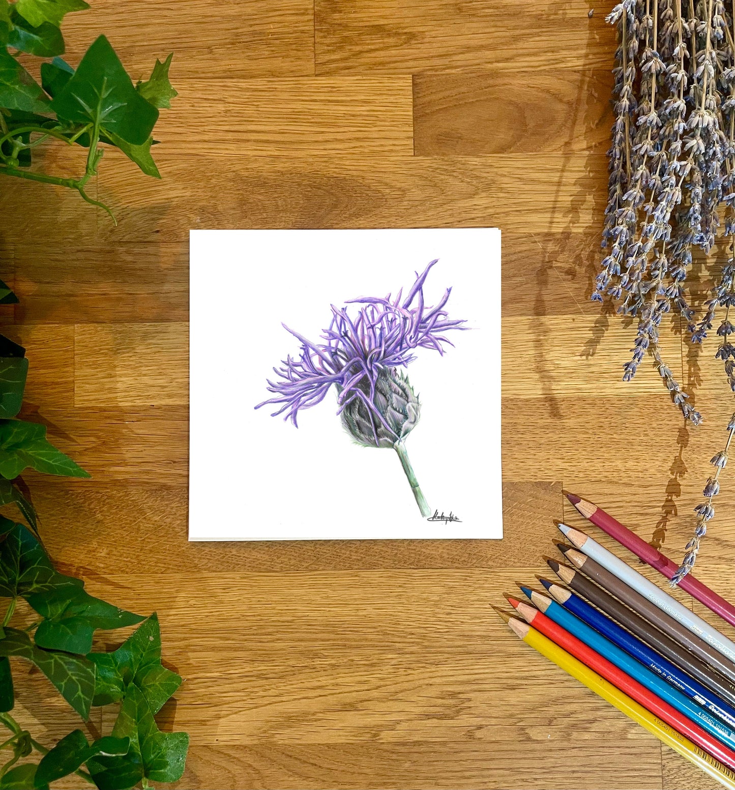 Thistle Greeting Card: Hand-Drawn Floral Art, Blank Inside