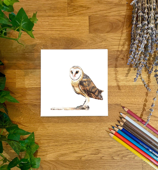 Barn Owl Greeting Card: Handmade Wildlife Art, Blank Inside