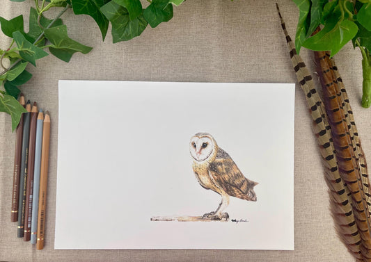Barn Owl Print: A4 Fine Art Illustration - Wildlife Home Decor