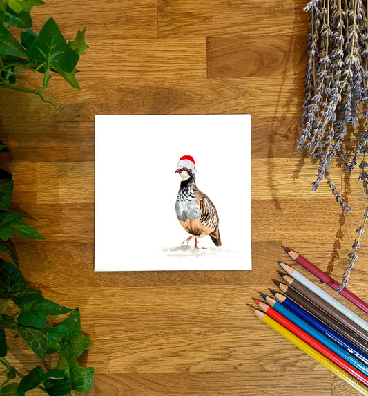 Christmas Partridge Illustration wearing a Santa Hat - Festive/ Blank Card/ Wildlife Card/ Game Bird/ Shooting