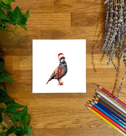 Christmas Partridge Card, Hand-Drawn Festive Wildlife Art