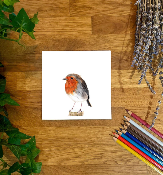 Hand-Drawn Robin Greetings Card: Wildlife Art, Blank Inside