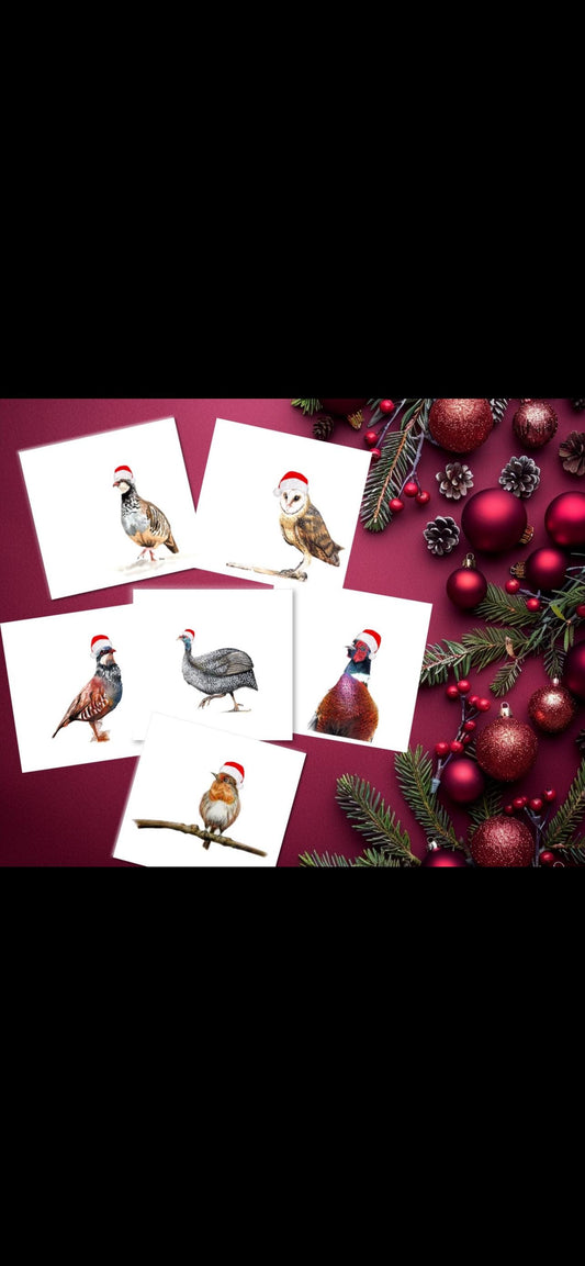Festive Birds Collection, partridge, owl, pheasant, robin, guinea fowl - Pack of 12 Christmas Cards (2 of each Design)